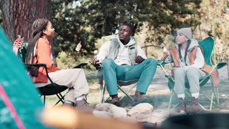 friends camping and roasting marshmallows