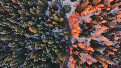 Overhead-Konflikt-Von-Winter-Und-Herbst