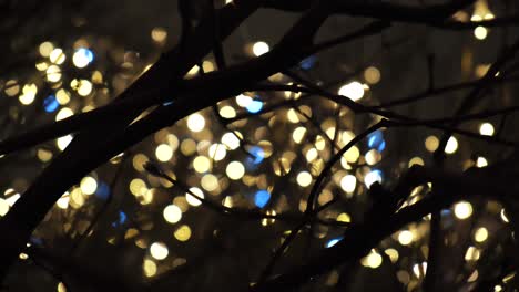 christmas lights through branches at night