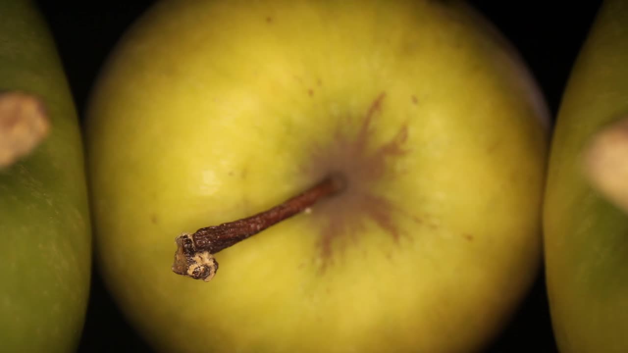 empujando más allá de 2 manzanas y sus tallos para terminar recorriendo toda la longitud del tallo de otra manzana, muchas texturas finas de la piel y el tallo