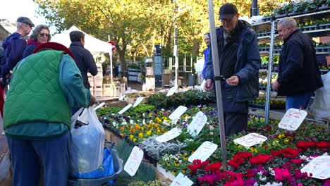 old man wearing a face mask buys plants at a stall at the columbia road flower market, london