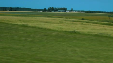 a wide shot of the grass field