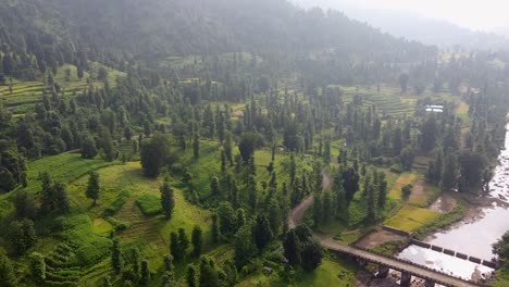 Pintoresca-Naturaleza-Brumosa-Cerca-Del-Pueblo-De-Kamshet-En-El-Oeste