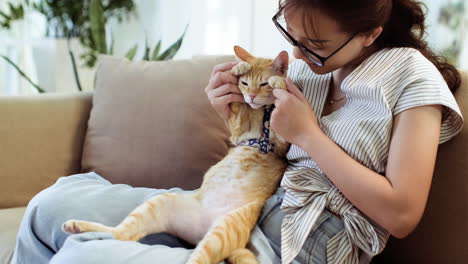 woman petting a cat