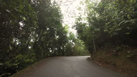 Fahrt-Durch-Die-Nationalparkstraße,-Dichter-Wald,-üppige-Vegetation-Auf-Der-Insel-Mahe,-Seychellen-60-Fps-6