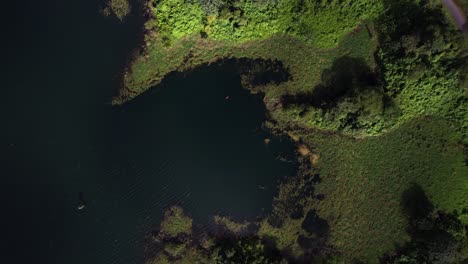 Drone-descent-towards-jungle-lake-pond-in-Costa-Rica