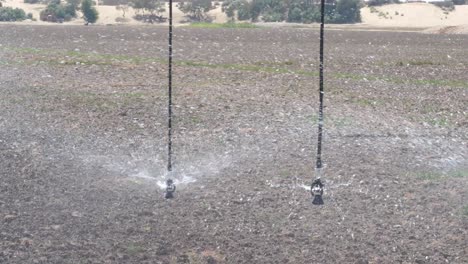 water being sprayed from oscillating head attached to center pivot irrigation system