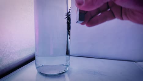 limaduras de hierro en el agua siendo movidas por un imán de neodimio