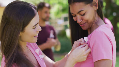 two happy diverse women one pinning breast cancer ribbon to t shirt, talking and laughing in park