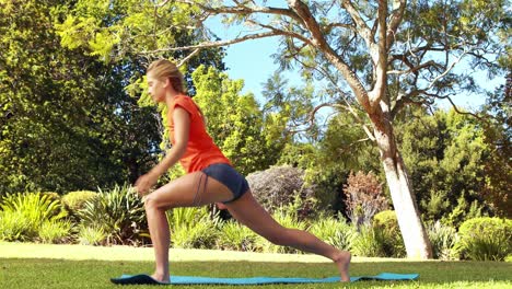 Frau-Macht-Yoga-Im-Park