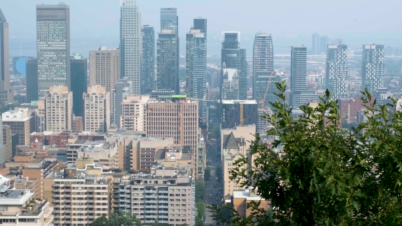 O horizonte de Montreal se estende em direção ao horizonte a partir do Monte Royal