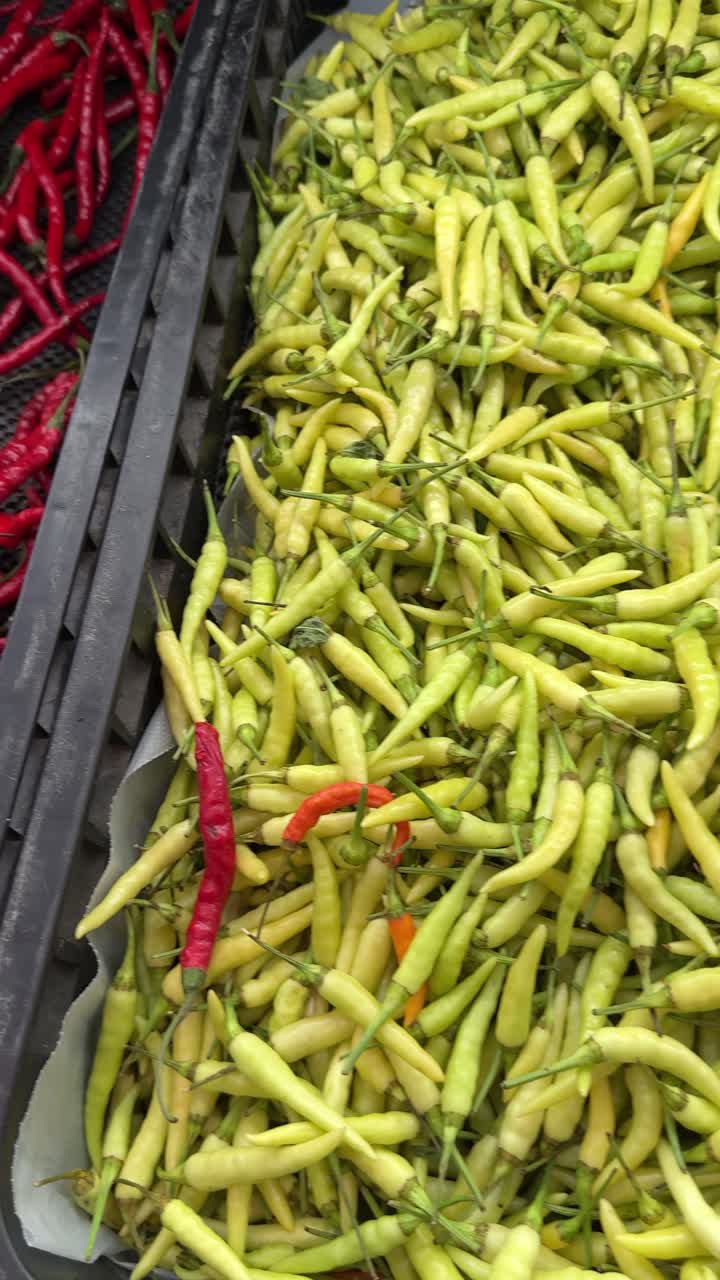 Vibrant Assortment of Fresh Red, Green, and Orange Chili Peppers