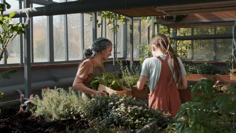 people in a greenhouse