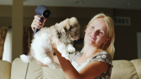 happy woman drying a puppy