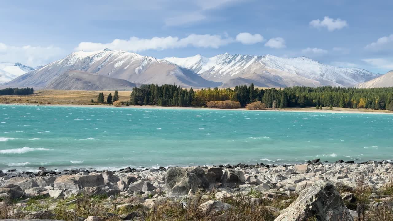 Wide shot of Lake Tekapo’s turquoise waters with visible wind-driven waves, rocky shoreline, and snow-capped mountains under bright daylight, static camera