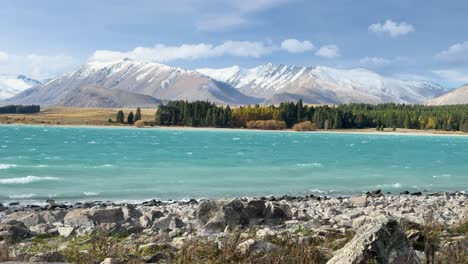wide shot of lake tekapo’s turquoise waters with visible wind-driven waves, rocky shoreline, and snow-capped mountains under bright daylight, static camera