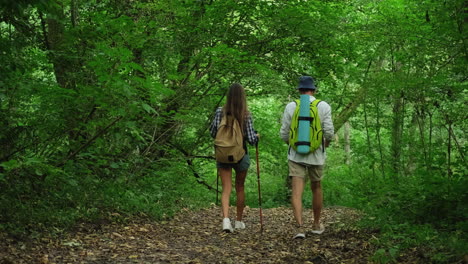 couple hiking in a lush forest