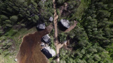 Flying-over-dirt-road-through-luscious-green-forest-with-small-water-hole