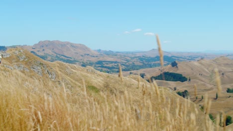 a-gimbal-shot-walking-down-a-trail-looking-out-into-a-natural-valley