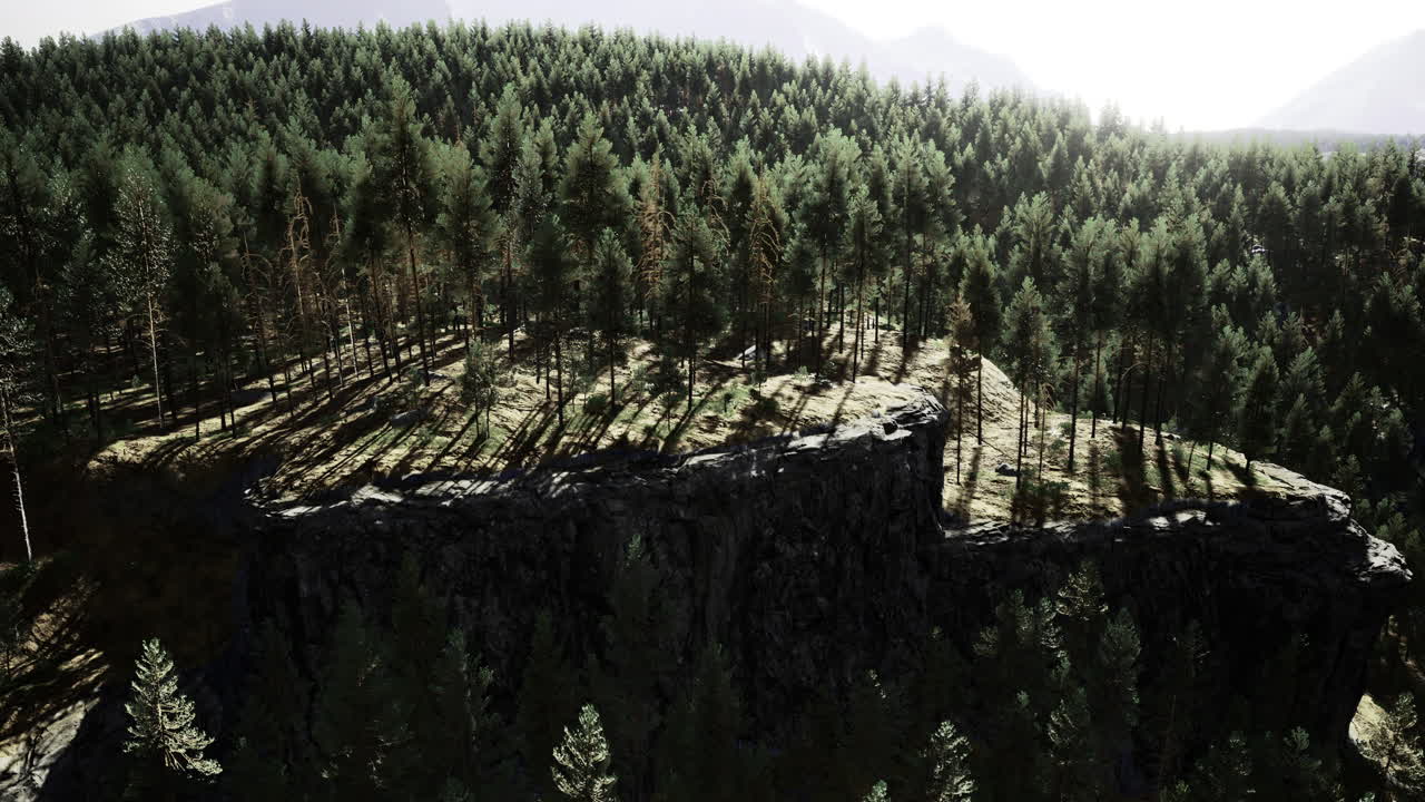 Forest landscape with rocky outcrop and sunlight illuminating trees