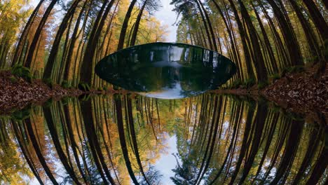Autumn Forest Reflection Panorama