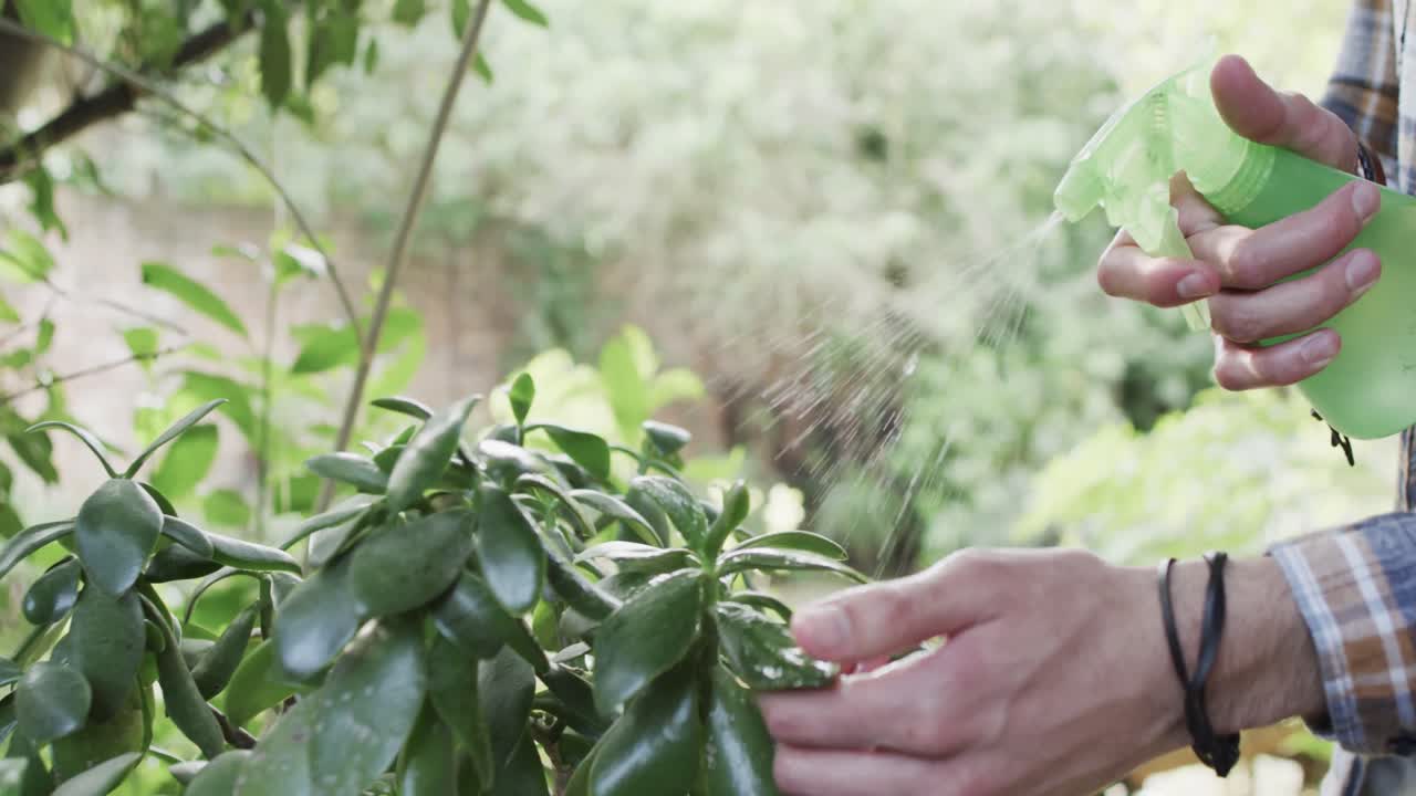 manos de un hombre caucásico regando plantas en un jardín soleado, copia del espacio, cámara lenta