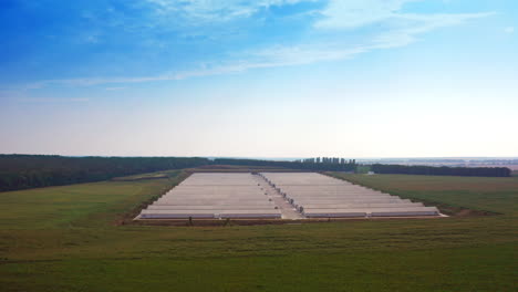 huge animal farm scattered in abundant green fields. modern agricultural plant for breeding domestic animals. top view.