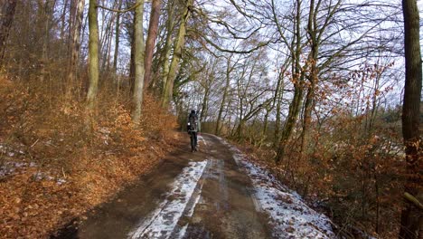 Den-Frühling-Entdecken:-Die-Reise-Eines-Mannes-Durch-Einen-Sonnendurchfluteten-Wald,-Auf-Dem-Er-Auf-Einem-Friedlichen-Weg-Die-Anblicke-Und-Geräusche-Der-Erneuerung-Der-Natur-Mit-Sonnenlicht-Und-Schatten-Aufnimmt