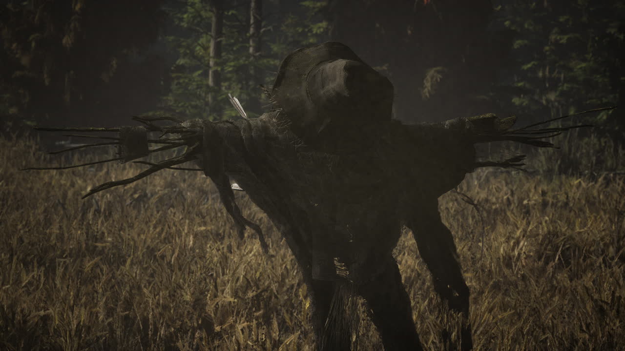 Scarecrow on the old village field