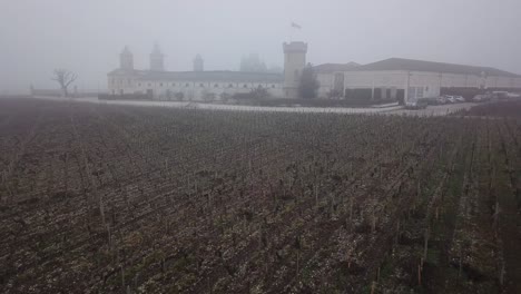 People-walking-on-fields-of-Cos-d'Estournel-castle-on-foggy-day-with-palace-in-background,-Bordeaux-in-France