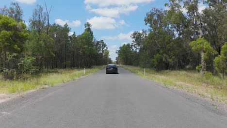 car travels on a scenic forest road