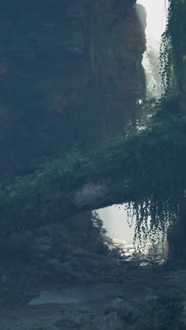 a beautiful stone bridge amidst a lush forest landscape