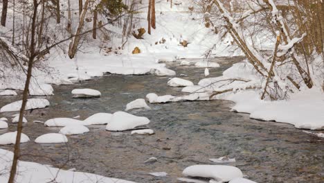 Schöner-Schneeszenenwald-Im-Winter.