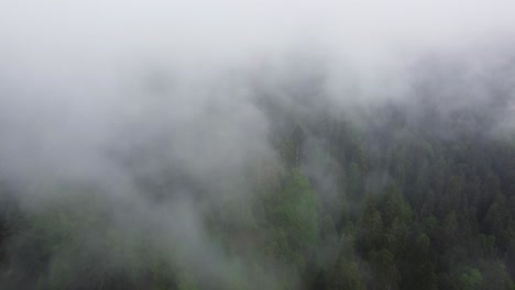 aerial mountain forest rainy moody atmosphere with clouds 4k