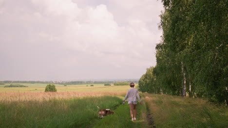 pet lover walking two beagles on leash through vast grassy field, dressed in casual grey and white, trees lining side of the path, enjoying peaceful countryside under cloudy sky