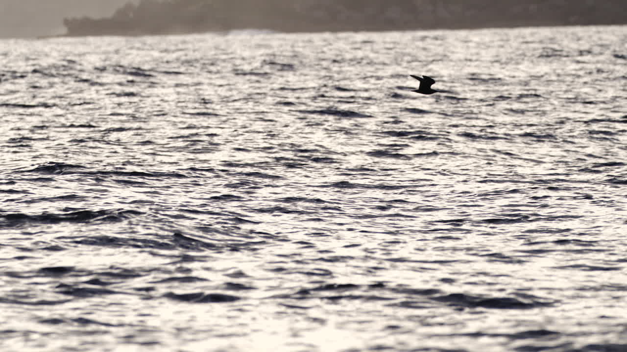 Glittering highlights ripple over calm ocean water in bright daylight slow motion