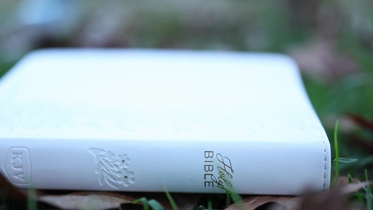 Een scherpe close-up van een witte Heilige Bijbel rustend op groen gras, omringd door verspreide bladeren. Zacht natuurlijk licht benadrukt de textuur en details, wat een vredige, spirituele sfeer creëert.