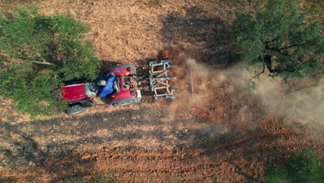 aerial zenith view of tractor tilling among olive trees at sunset