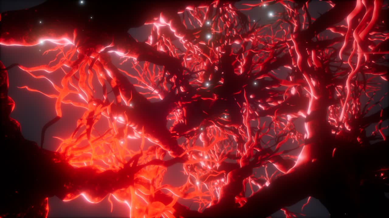 뇌 안의 신경 세포 네트워크를 통해 여행합니다.