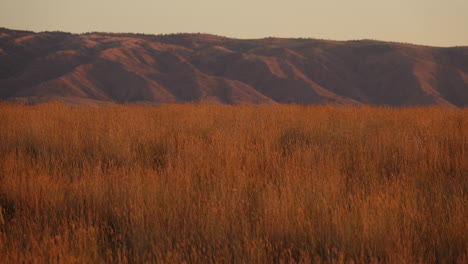 Toma-En-El-Tiempo-De-La-Hierba-De-La-Pradera-Y-Las-Montañas-Distantes-Al-Atardecer