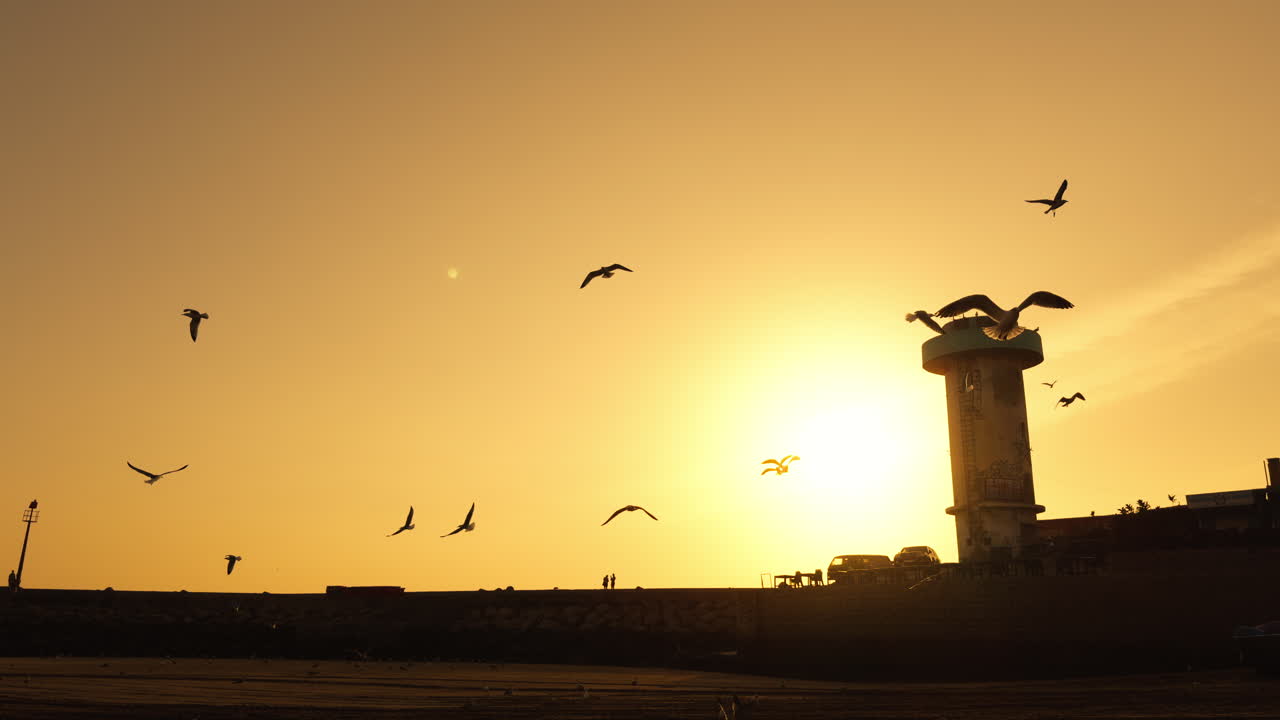 Sunset over the beach with gulls
