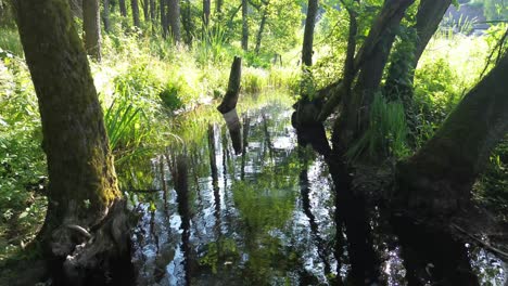 „Steigen-Sie-Mit-Einer-Drohne-über-Den-Im-Morgengrauen-Erleuchteten-See-Europas-Und-Fangen-Sie-Eine-Ruhige-Lagune,-Einen-üppigen-Wald,-Eine-Elegante-Brücke,-Einen-Biberdamm-Und-Einen-Malerischen-Damm-Ein-–-Eine-Faszinierende-Vogelperspektive-Und-Aussicht-Vom-Himmel