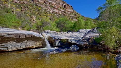 Zeitlupen-Schwenk-Nach-Links-Vom-Goldenen-Wasser-Und-Den-Saguaro-Kakteen-Am-Sabino-Canyon-Wasserfall