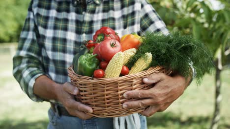 Vídeo-De-Cerca-De-Una-Cesta-Llena-De-Verduras-De-Temporada