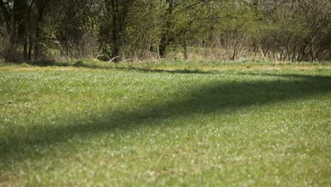 Shadow-of-a-spinning-windmill-on-a-vibrant-green-meadow-with-trees-in-the-background,-sunny-day