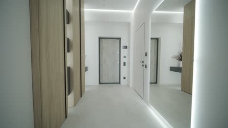 modern and minimalist apartment hallway