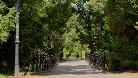 Metal-Bridge-in-Türkenschanzpark-in-Vienna-surrounded-by-Green-Trees-during-a-sunny-day