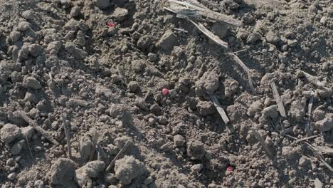 view of the soil. ground. agricultural working.