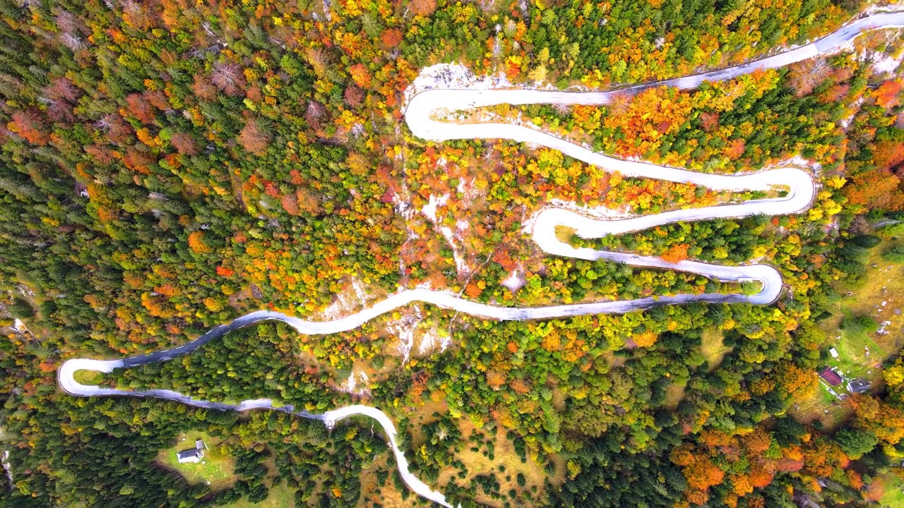 Topdown aerial view of the winding road through vibrant autumn foliage at Vršič Pass, Slovenia