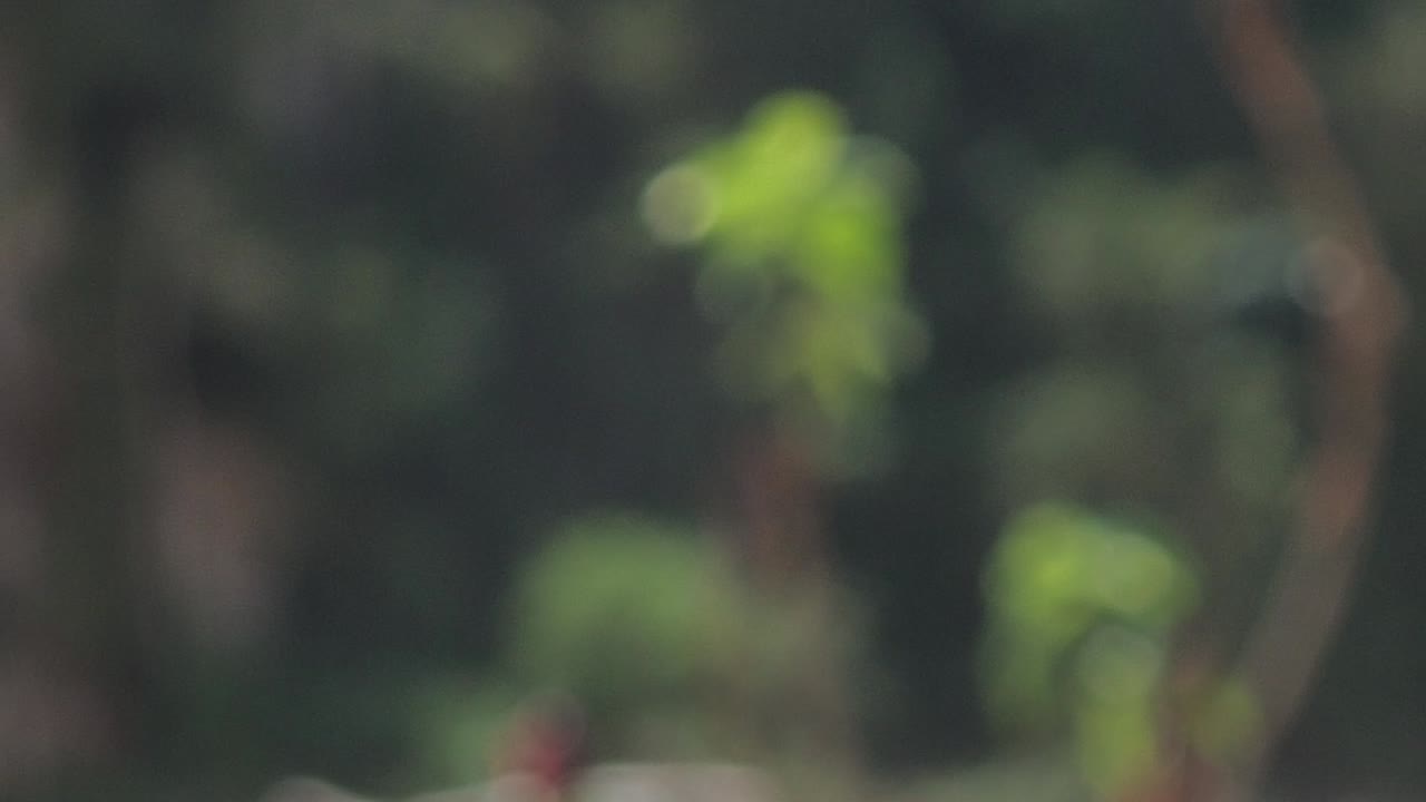 거품이 표면으로 솟아오르는 유리잔에 담긴 시원한 맥주의 매크로 샷